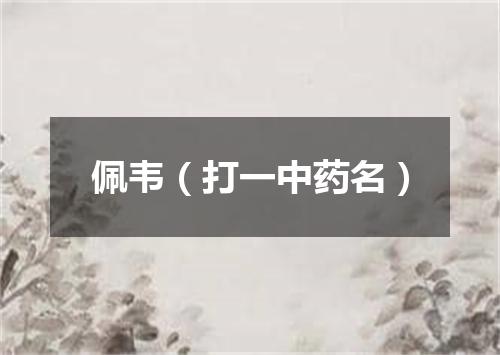 佩韦（打一中药名）