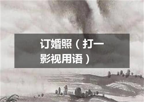 订婚照（打一影视用语）