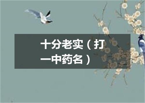 十分老实（打一中药名）