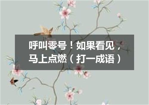 呼叫零号！如果看见，马上点燃（打一成语）