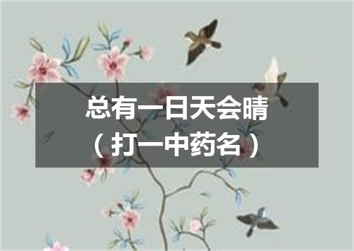 总有一日天会晴（打一中药名）
