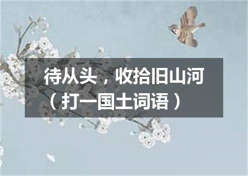 待从头，收拾旧山河（打一国土词语）
