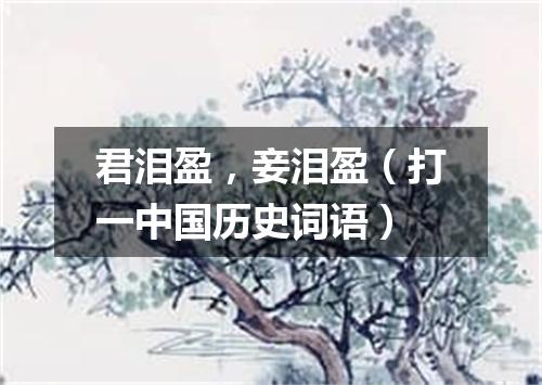 君泪盈，妾泪盈（打一中国历史词语）