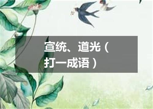 宣统、道光（打一成语）
