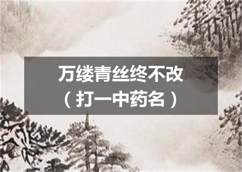 万缕青丝终不改（打一中药名）