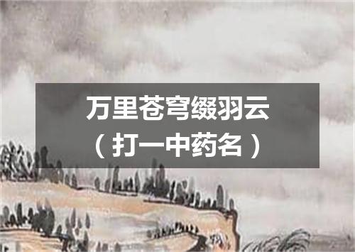 万里苍穹缀羽云（打一中药名）