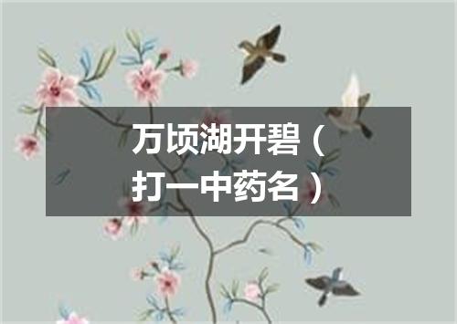 万顷湖开碧（打一中药名）