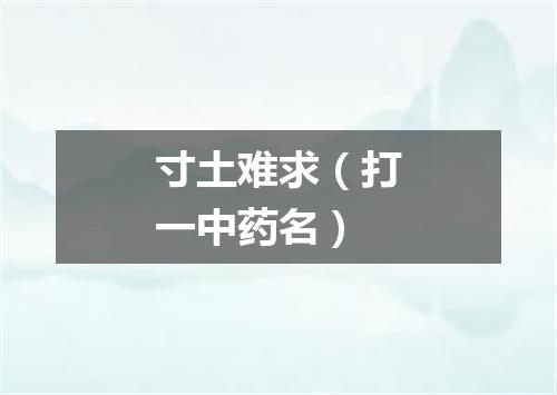 寸土难求（打一中药名）
