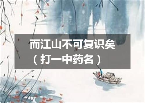 而江山不可复识矣（打一中药名）