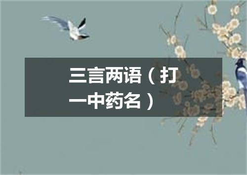 三言两语（打一中药名）