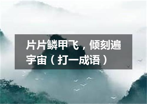 片片鳞甲飞，倾刻遍宇宙（打一成语）
