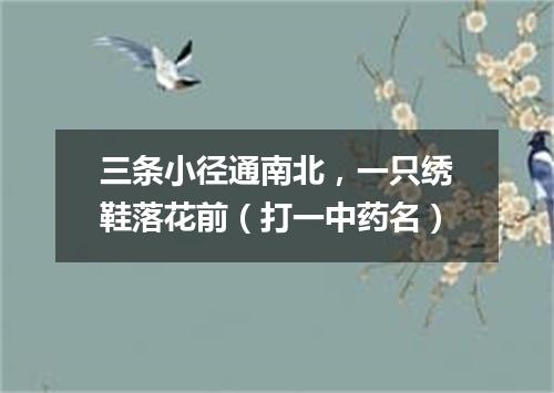 三条小径通南北，一只绣鞋落花前（打一中药名）