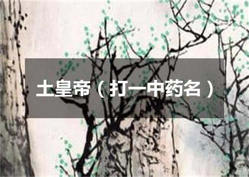 土皇帝（打一中药名）