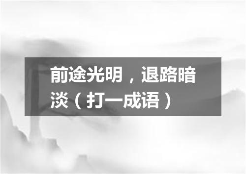 前途光明，退路暗淡（打一成语）