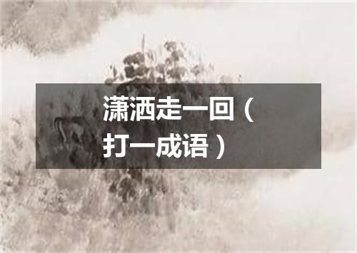 潇洒走一回（打一成语）