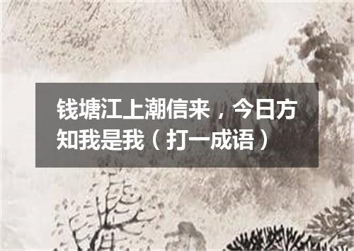 钱塘江上潮信来，今日方知我是我（打一成语）