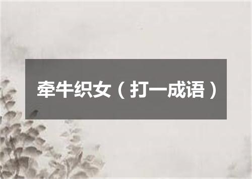 牵牛织女（打一成语）