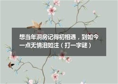 想当年洞房记得初相遇，到如今一点无情泪如注（打一字谜）