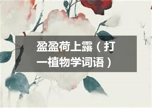 盈盈荷上露（打一植物学词语）