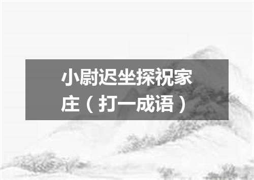 小尉迟坐探祝家庄（打一成语）