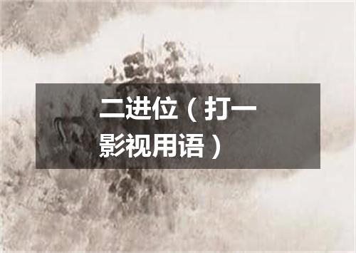二进位（打一影视用语）