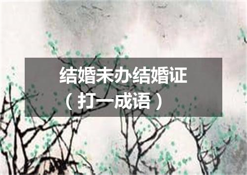 结婚未办结婚证（打一成语）