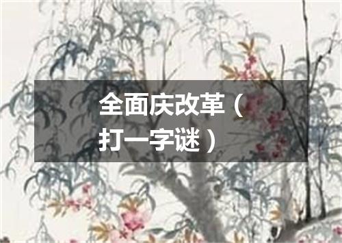 全面庆改革（打一字谜）