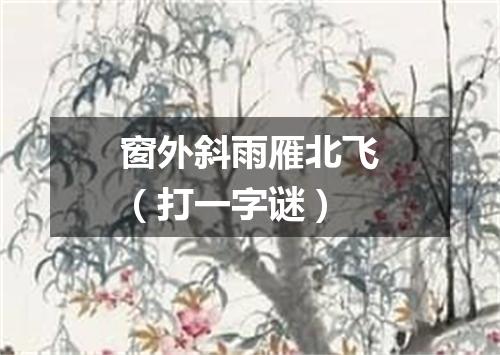 窗外斜雨雁北飞（打一字谜）