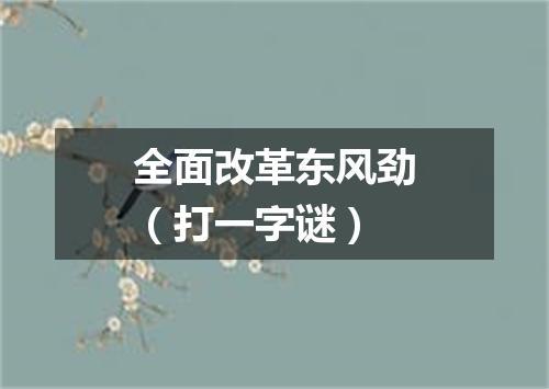 全面改革东风劲（打一字谜）