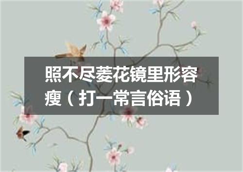 照不尽菱花镜里形容瘦（打一常言俗语）
