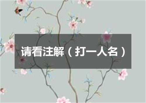 请看注解（打一人名）