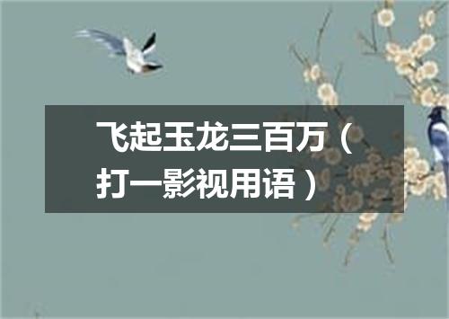 飞起玉龙三百万（打一影视用语）