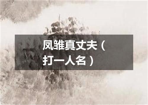 凤雏真丈夫（打一人名）