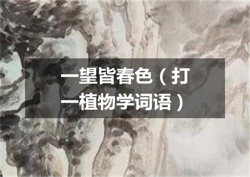 一望皆春色（打一植物学词语）