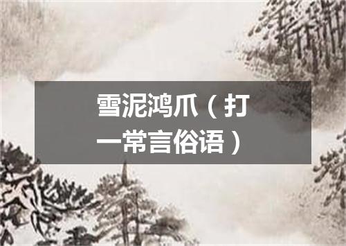 雪泥鸿爪（打一常言俗语）
