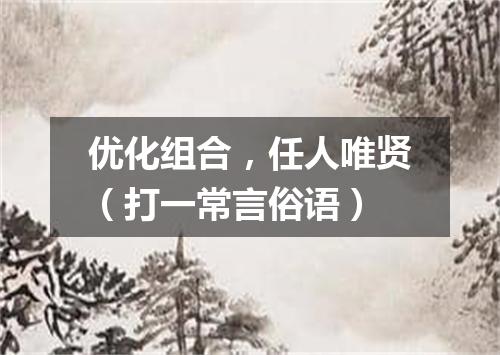 优化组合，任人唯贤（打一常言俗语）