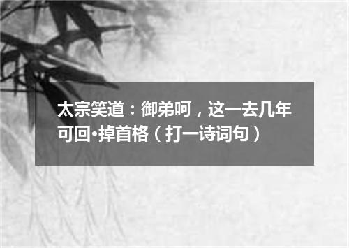 太宗笑道：御弟呵，这一去几年可回·掉首格（打一诗词句）