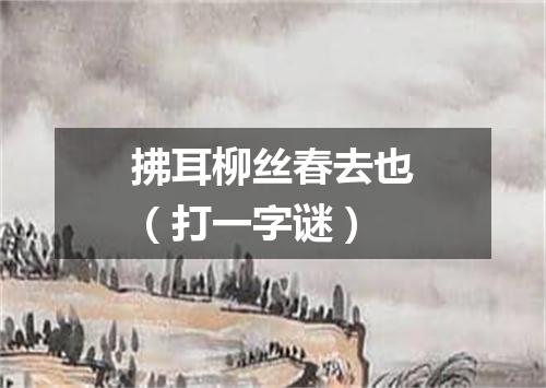 拂耳柳丝春去也（打一字谜）