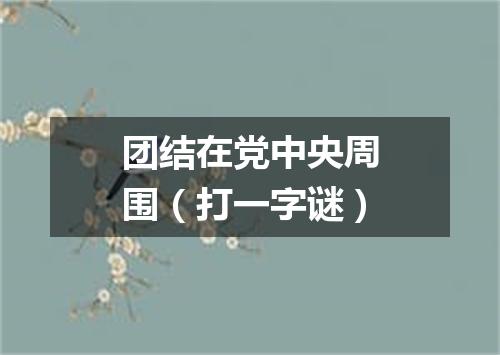 团结在党中央周围（打一字谜）