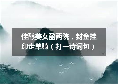 佳酿美女盈两院，封金挂印走单骑（打一诗词句）