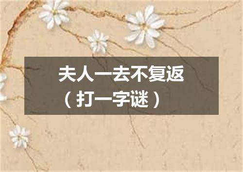 夫人一去不复返（打一字谜）