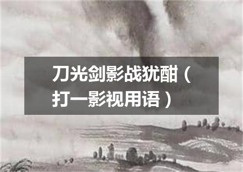 刀光剑影战犹酣（打一影视用语）