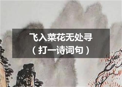 飞入菜花无处寻（打一诗词句）