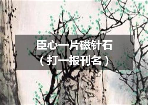 臣心一片磁针石（打一报刊名）