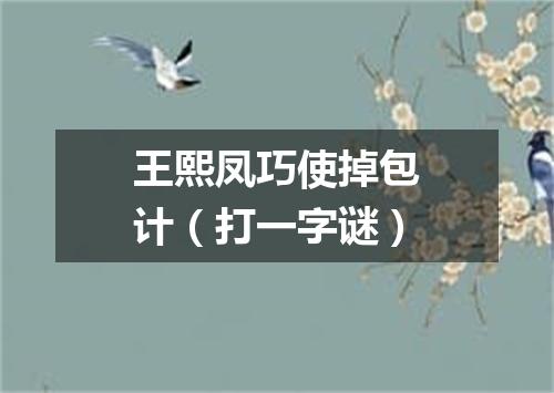 王熙凤巧使掉包计（打一字谜）