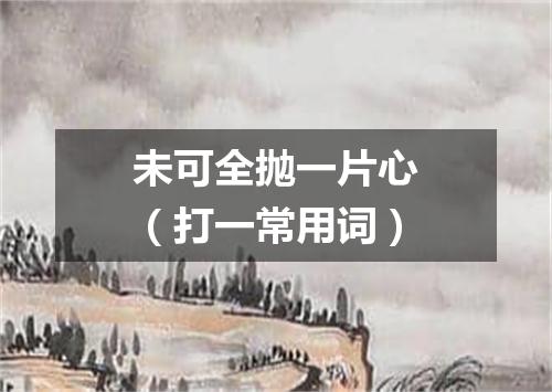 未可全抛一片心（打一常用词）