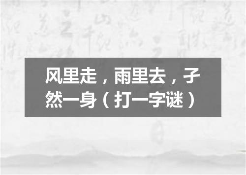 风里走，雨里去，孑然一身（打一字谜）