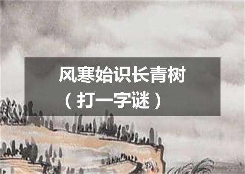 风寒始识长青树（打一字谜）