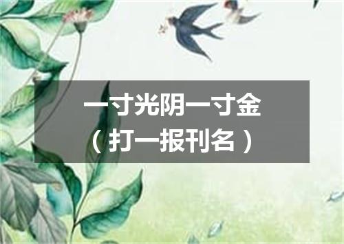 一寸光阴一寸金（打一报刊名）