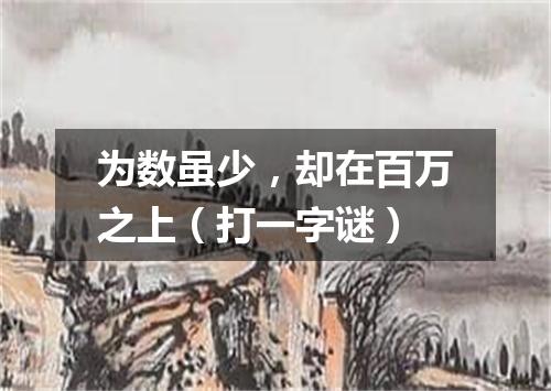 为数虽少，却在百万之上（打一字谜）